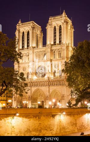 Notre Dame de Paris al crepuscolo in primo piano, Francia Foto Stock