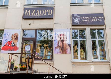 MINSK, BIELORUSSIA - 13 GIUGNO 2017: Boutique di salone di cani a Minsk, Bielorussia Foto Stock