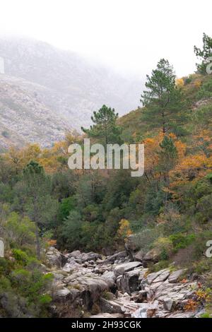 Parco nazionale Peneda-Gerês, Portogallo settentrionale, rio Homem. Riserva della biosfera di Geres-Xures. Foto Stock