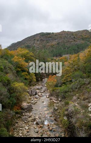 Mata de Albergaria nella Riserva della Biosfera di Geres-Xures. Trekking e passeggiate all'aperto. Portogallo. Rio Homem. Foto Stock