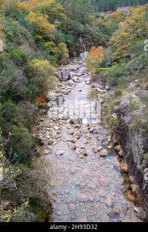 Mata de Albergaria nella Riserva della Biosfera di Geres-Xures. Trekking e passeggiate all'aperto. Portogallo. Rio Homem. Foto Stock