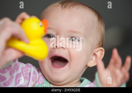 Una bambina (ca. 10 mesi) ama giocare con un'anatra di gomma tenuta dalla madre. Foto Stock