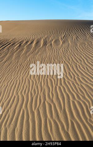 Il vento si increspa sulle dune di sabbia, nel deserto di Mojave, California, USA Foto Stock