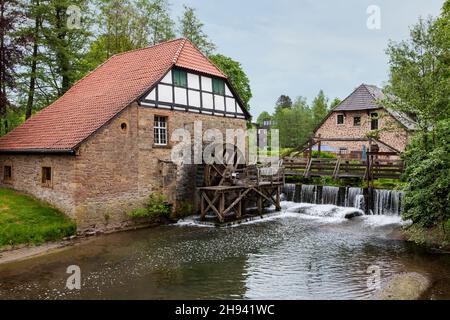 Frantoio, XVIII secolo, castello di Schloss Brake, Lemgo, Renania settentrionale-Vestfalia, Germania, Europa Foto Stock