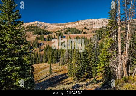 Unnamed Peaks at Salt River Range, vista dal Commissary Ridge, FR 10072 aka Smiths Fork Road, Bridger Teton National Forest, Wyoming, USA Foto Stock