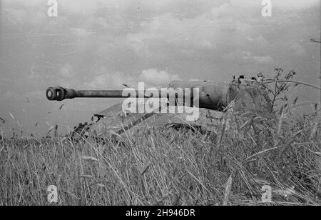 Polska, 1947-07. Wrak niemieckiego czo³gu typu Pantera w okolicach Warszawy. po/ms PAP Dok³adny dzieñ wydarzenia nieustalony. Polonia, luglio 1947. Un naufragio di un carro armato tedesco T-5 Panther vicino a Varsavia. po/ms PAP Foto Stock