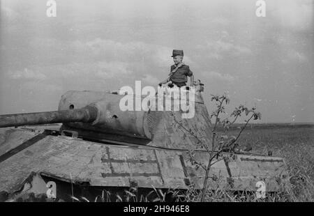 Polska, 1947-07. Harcerz przy wraku niemieckiego czo³gu typu Pantera w okolicach Warszawy. po/ms PAP Dok³adny dzieñ wydarzenia nieustalony. Polonia, luglio 1947. Scout a un naufragio di un carro armato tedesco T-5 Panther vicino a Varsavia. po/ms PAP Foto Stock