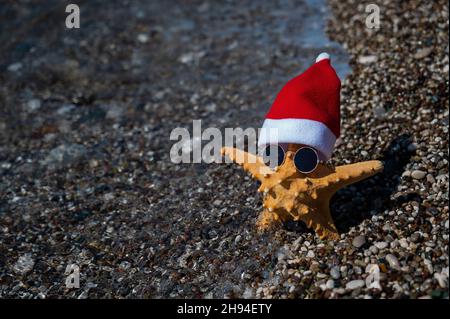 Stelle marine a babbo natale cappello e occhiali da sole su una spiaggia di ciottoli vicino al mare. Foto Stock