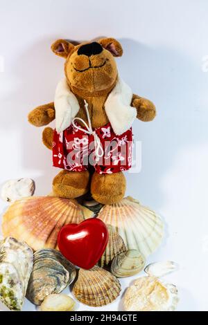 Orso di festa con cuore e conchiglie, sfondo bianco, orso, vacanza, conchiglie, tempo di vacanza Foto Stock