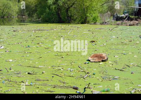 Garbage nel fiume Foto Stock