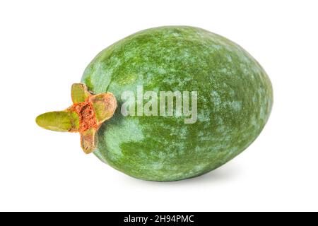 Maturo feijoa primo piano isolato su sfondo bianco Foto Stock