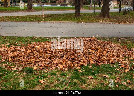 Cumulo di foglie secche raccolte nel parco cittadino a fine autunno Foto Stock