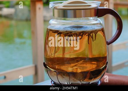 Apertura galleggiante del tè verde lascia in acqua bollente all'interno del bollitore di vetro su sfondo naturale sfocato durante la cerimonia del tè nel giardino giapponese Zen. Foto Stock