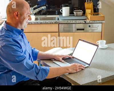 Vista laterale di imprenditore lavorando sul portatile a casa Foto Stock