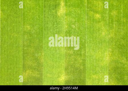 Primo piano vista aerea della superficie di erba verde tagliata di fresco sullo stadio di calcio in estate. Foto Stock