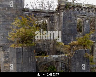 Craigend Castle è una casa di campagna in rovina, situata a nord di Milngavie, nello Stirlingshire, Scozia centrale. Foto Stock