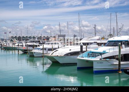 Charter Yachts ormeggiato a Viaduct Harbour, Auckland Nuova Zelanda, Foto Stock