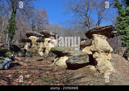 Villar San Costanzo, Piemonte, Italia - la Riserva naturale del Ciciu di Villar con formazioni geologiche a forma di funghi, dovute all'erosione dell'acqua. Foto Stock