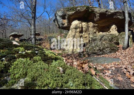 Villar San Costanzo, Piemonte, Italia - la Riserva naturale del Ciciu di Villar con formazioni geologiche a forma di funghi, dovute all'erosione dell'acqua. Foto Stock