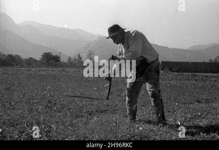 Zakopane, 1947-09. Sianokosy na Podhalu. NZ. góral przy koszeniu trawy na ³¹ce. bk/mgs PAP Dok³adny dzieñ wydarzenia nieustalony. Polonia, 1947 settembre. Haying nella regione di Podhale. Nella foto: Un highlander che taglia l'erba con una scythe. bk/mgs PAP Foto Stock