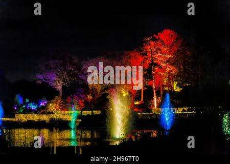 Fontane dai colori vivaci nel lago a Glow 2021, l'evento annuale di luci natalizie al RHS Garden, Wisley, Woking, Surrey Foto Stock