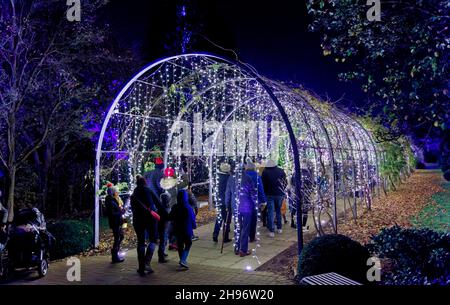 Arch con luci scintillanti al Glow 2021, l'evento annuale di luci natalizie al RHS Garden, Wisley, Woking, Surrey Foto Stock