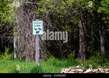 Seriamente 15 MPH limite di velocità segno per la fauna selvatica nella città di Moran a Jackson Hole, Wyoming, orizzontale Foto Stock