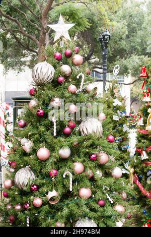 Natale nel Parco, San Jose, 2021. Un Natale molto Beario. Foto Stock