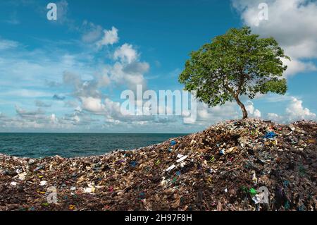 Albero cresce tra montagne di Cestino. In un ambiente surreale irreale spazzatura natura inquinamento ecologia. Concetto di ambiente. Foto Stock