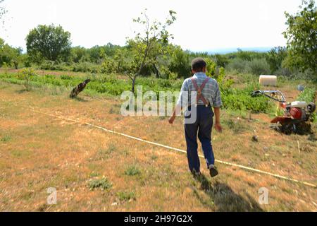 Portrait de Pierre Rabhi, philosophe, gremteur biologiste, romancier et poete franais, d'origine algerienne, inventeur du concept « Oasis en tous lieux » chez lui dans son jardin à Berrias-et-Casteljau, Francia le 23 Juin 2014. Ritratto di Pierre Rabhi, filosofo, biologo contadino, romanziere e poeta francese, di origine algerina, inventore del concetto 'Oasis in all Places' in casa nel suo giardino a Berrias-et-Casteljau, Francia il 23 giugno 2014. Foto di Soudan/ANDBZ/ABACAPRESS.COM Foto Stock