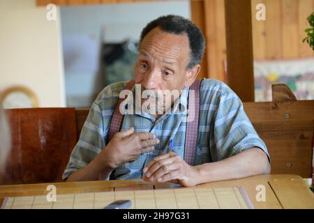 Portrait de Pierre Rabhi, philosophe, gremteur biologiste, romancier et poete franais, d'origine algerienne, inventeur du concept « Oasis en tous lieux » chez lui dans son jardin à Berrias-et-Casteljau, Francia le 23 Juin 2014. Ritratto di Pierre Rabhi, filosofo, biologo contadino, romanziere e poeta francese, di origine algerina, inventore del concetto 'Oasis in all Places' in casa nel suo giardino a Berrias-et-Casteljau, Francia il 23 giugno 2014. Foto di Soudan/ANDBZ/ABACAPRESS.COM Foto Stock