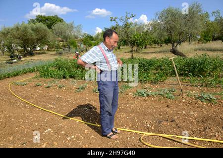 Portrait de Pierre Rabhi, philosophe, gremteur biologiste, romancier et poete franais, d'origine algerienne, inventeur du concept « Oasis en tous lieux » chez lui dans son jardin à Berrias-et-Casteljau, Francia le 23 Juin 2014. Ritratto di Pierre Rabhi, filosofo, biologo contadino, romanziere e poeta francese, di origine algerina, inventore del concetto 'Oasis in all Places' in casa nel suo giardino a Berrias-et-Casteljau, Francia il 23 giugno 2014. Foto di Soudan/ANDBZ/ABACAPRESS.COM Foto Stock