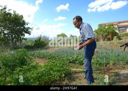 Portrait de Pierre Rabhi, philosophe, gremteur biologiste, romancier et poete franais, d'origine algerienne, inventeur du concept « Oasis en tous lieux » chez lui dans son jardin à Berrias-et-Casteljau, Francia le 23 Juin 2014. Ritratto di Pierre Rabhi, filosofo, biologo contadino, romanziere e poeta francese, di origine algerina, inventore del concetto 'Oasis in all Places' in casa nel suo giardino a Berrias-et-Casteljau, Francia il 23 giugno 2014. Foto di Soudan/ANDBZ/ABACAPRESS.COM Foto Stock