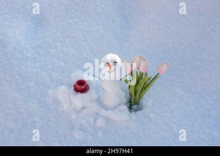 Uomo di neve con tazza di caffè e tulipani di fiori primaverili. Buon pupazzo di neve sorridente nella giornata invernale di sole. Foto Stock