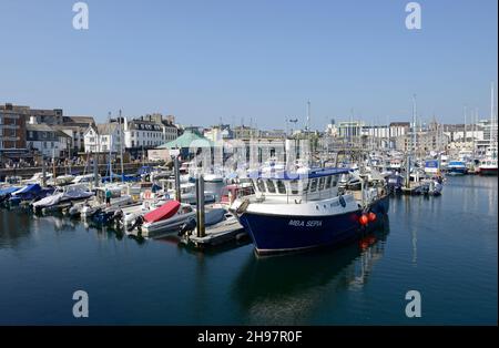Molte piccole barche ormeggiate al molo nel porto di Plymouth in una giornata di sole, incluso il vaso di ricerca della Marine Biological Association, Seppia. Foto Stock