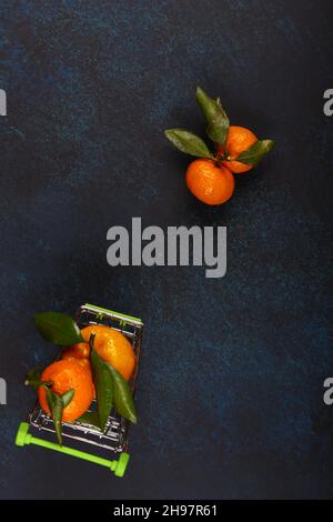 tangerini con foglie su sfondo blu scuro. vista dall'alto, stile piatto, luogo per il testo Foto Stock