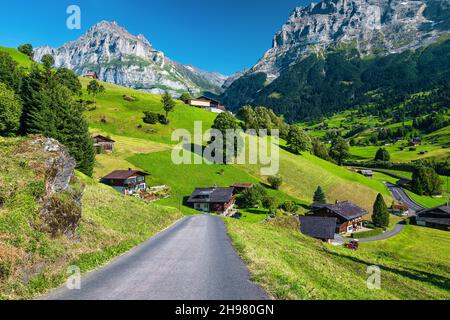 Famoso villaggio alpino con prati verdi e terreni agricoli sulle pendici, Grindelwald, Svizzera, Europa Foto Stock
