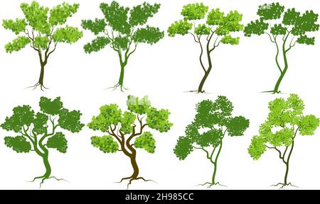alberi vettoriali isolati su sfondo bianco, alberi vettoriali impostare componente immagine Illustrazione Vettoriale