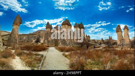 Pittoresco paesaggio di rocce arenaria a forma di pietra. Famosi camini di Fairy o funghi di pietra multipohead nella valle di Pasaba vicino a Goreme. Popolare viaggio desti Foto Stock