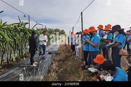 (211205) -- PHNOM PENH, 5 dicembre 2021 (Xinhua) -- studenti cambogiani di agricoltura visitano un frutteto di drago nella provincia di Kratie, Cambogia il 4 dicembre 2021. Domenica si è concluso un workshop di formazione organizzato dalla Cina per una settimana sulle tecnologie standardizzate di produzione delle banane per gli studenti cambogiani dell'agricoltura. Durante il corso, più di 50 studenti hanno partecipato sia a studi teorici che a viaggi sul campo in diversi frutteti tropicali. PER ANDARE CON "Feature: Gli esperti cinesi aiutano a formare gli studenti cambogiani sulla produzione standardizzata di banane" (Chen Qisheng/Handout via Xinhua) Foto Stock