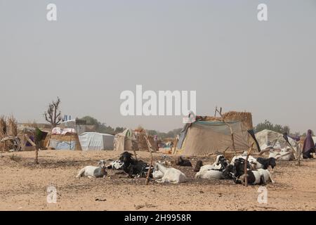 Campo profughi (IDP - sfollati interni) che si rifugia dal conflitto armato tra gruppi di opposizione e governo. Condizioni di vita molto scadenti Foto Stock