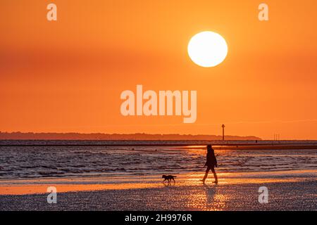 Una signora che cammina il suo piccolo cane sulla spiaggia di West Wittering in uno spettacolare tramonto nel tardo pomeriggio con l'isola di Wight in lontananza Foto Stock