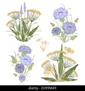 Una serie di mazzi di fiori selvatici. Cornflowers Illustrazione Vettoriale