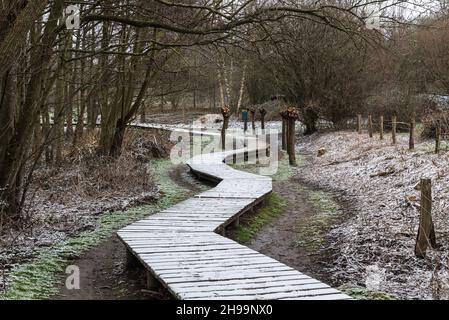 Vista panoramica su un percorso di legno attraverso le zone umide di Bruxelles, coperte di neve Foto Stock