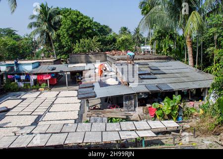 Un lavoratore adulto capovolge bene i gnocchi di lenticchie essiccate in modo che rimanga poca umidità. Foto Stock