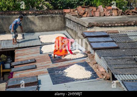Un lavoratore adulto capovolge bene i gnocchi di lenticchie essiccate in modo che rimanga poca umidità. Foto Stock