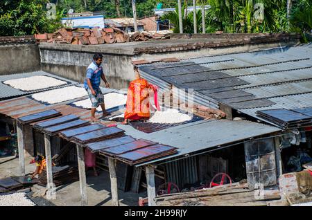 Un lavoratore adulto capovolge bene i gnocchi di lenticchie essiccate in modo che rimanga poca umidità. Foto Stock