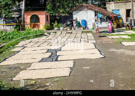 Un lavoratore adulto capovolge bene i gnocchi di lenticchie essiccate in modo che rimanga poca umidità. Foto Stock