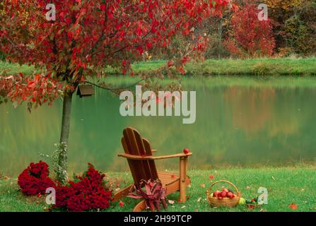 Una scena pacifica in autunno con riflessi nel lago e una sedia Adirondack, Missouri USA Foto Stock