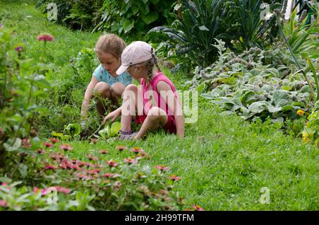 Due amici esplorano e imparano nel campo estivo Community Garden, Yarmouth Maine, USA Foto Stock